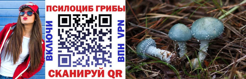 Псилоцибиновые грибы прущие грибы  как найти наркотики  Шадринск 