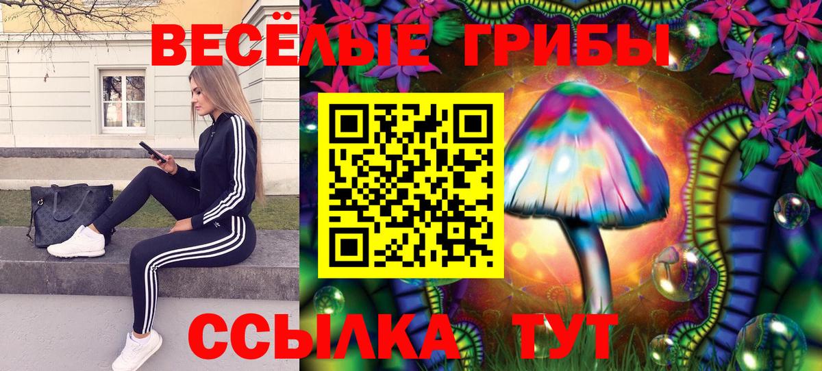Галлюциногенные грибы Psilocybe  Вход с VPN  Галлюциногенные грибы Psilocybine cubensis  Шадринск 