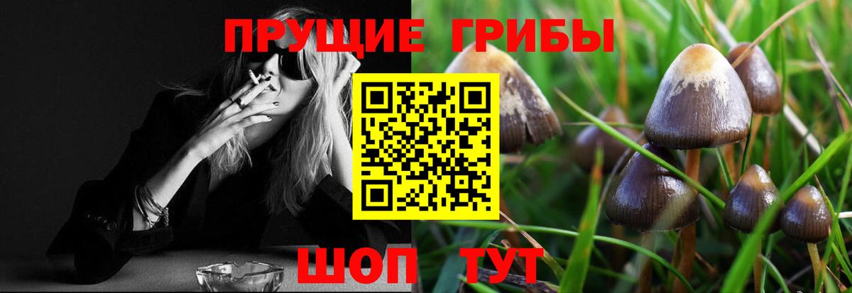 Псилоцибиновые грибы Cubensis Шадринск